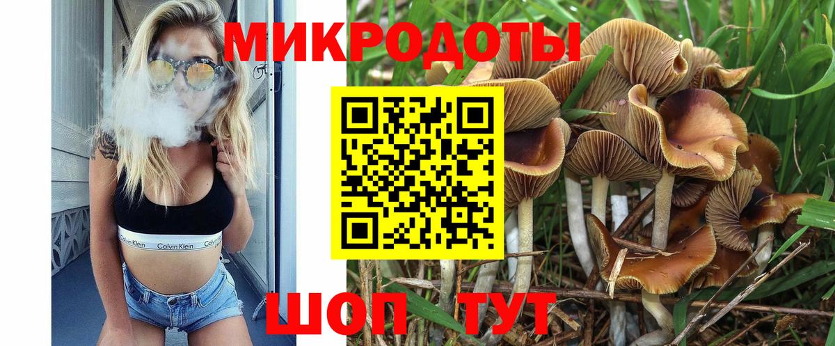 Корсаков  Псилоцибиновые грибы MAGIC MUSHROOMS  Вход с VPN 